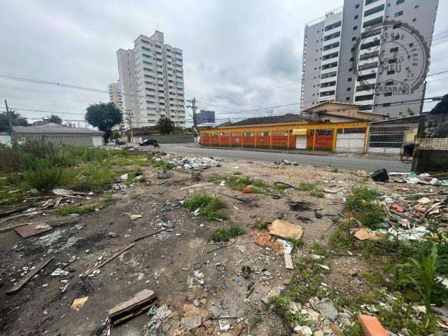 Terreno à venda, 439 m² por R$ 1.300.000 - Vila Guilhermina - Praia Grande/SP