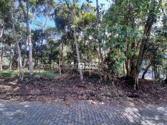 Terreno à venda, 480 m² por R$ 200.000,00 - Vargem Grande - Nova Friburgo/RJ