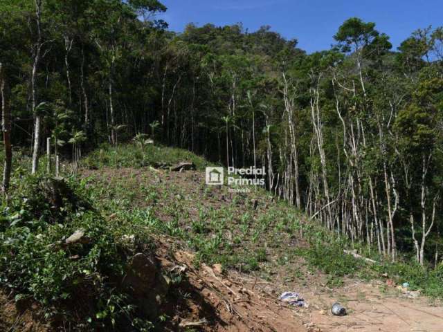 Terreno à venda, 780 m² por R$ 380.000,00 - São Pedro da Serra - Nova Friburgo/RJ