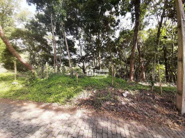 Terreno à venda, 370 m² por R$ 200.000,00 - Vargem Grande - Nova Friburgo/RJ