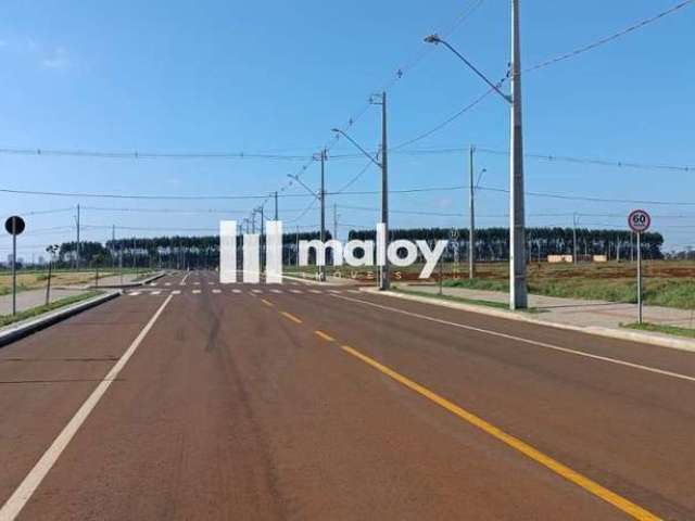 Terreno para Venda em Cascavel, Recanto Tropical