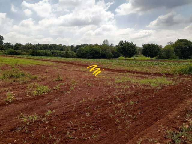 Terreno à venda em Paulínia, Betel, com 44000 m²