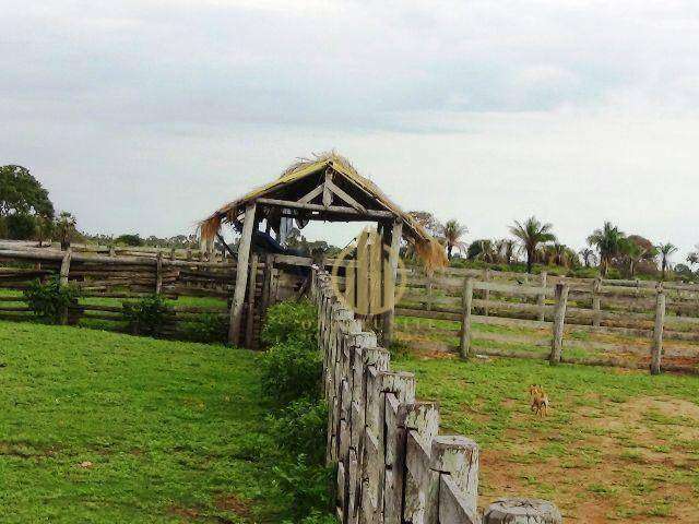 Fazenda no Pantanal