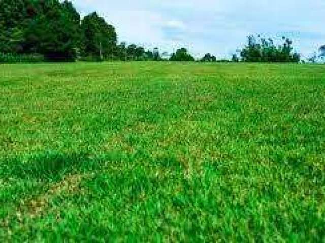 Terreno para Venda em Ribeirão Preto, Parque das Oliveiras II