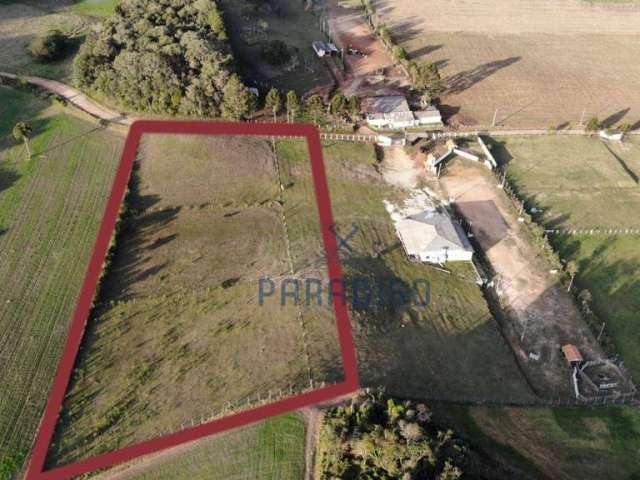 Chácara à venda, 10000 m² por R$ 990.000,00 - Centro - Campo Magro/PR