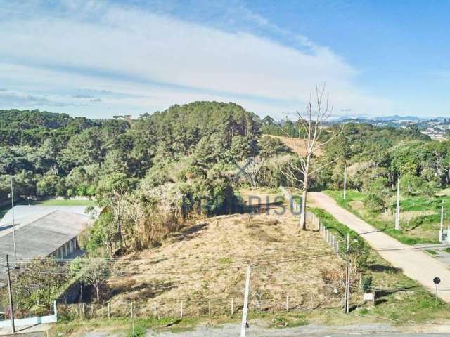 Terreno à venda, 4920 m² por R$ 5.000.000 - Santa Felicidade - Curitiba/PR