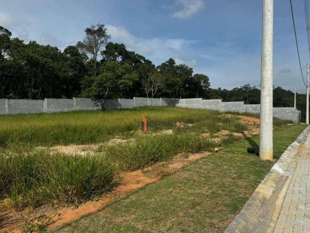 Terreno à venda, 300 m² - Vila Oliveira - Mogi das Cruzes/SP