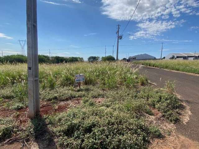 Terreno à venda em Floresta, Centro, com 250 m²