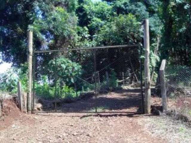 Chácara para Venda em Cascavel, ZONA RURAL