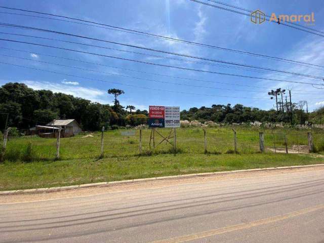 Terreno à venda, 6500 m² por R$ 3.350.000,00 - Cic - Curitiba/PR