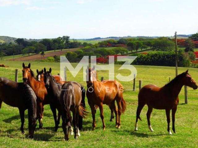 Fazenda à venda na Rural, 100, Zona Rural, Santo Antônio de Posse, 1150 m2 por R$ 65.000.000