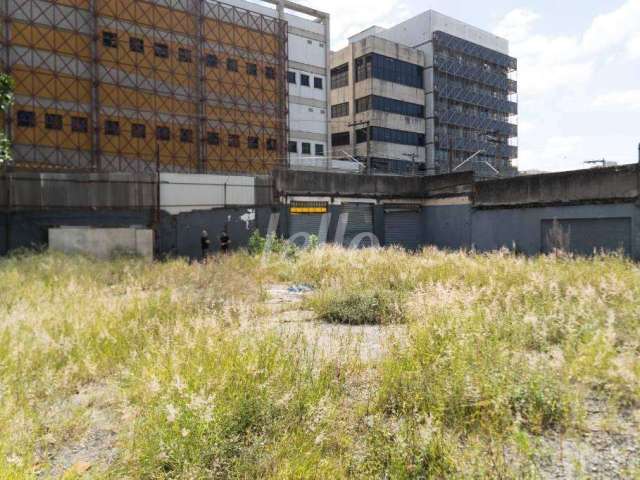 Terreno comercial para alugar na Rua Dona Santa Veloso, --, Vila Guilherme, São Paulo, 970 m2 por R$ 18.000