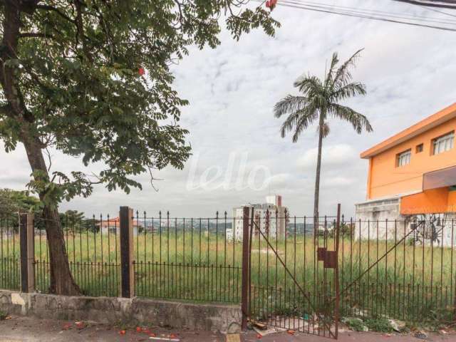 Terreno comercial para alugar na Rua Cerro Corá, --, Vila Romana, São Paulo, 1200 m2 por R$ 20.000