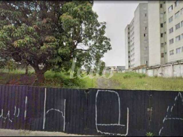 Terreno comercial para alugar na Avenida Alfredo Maluf, --, Vila Alto de Santo André, Santo André, 2239 m2 por R$ 15.900