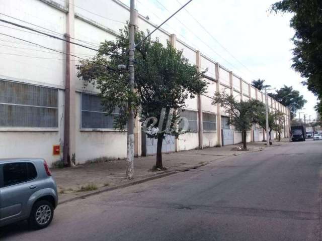 Barracão / Galpão / Depósito para alugar na Avenida Cardeal Santiago Luiz Copello, --, Vila Leopoldina, São Paulo, 9507 m2 por R$ 285.000