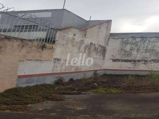 Terreno comercial para alugar na Av. Indianópolis, --, Moema, São Paulo, 225 m2 por R$ 3.700