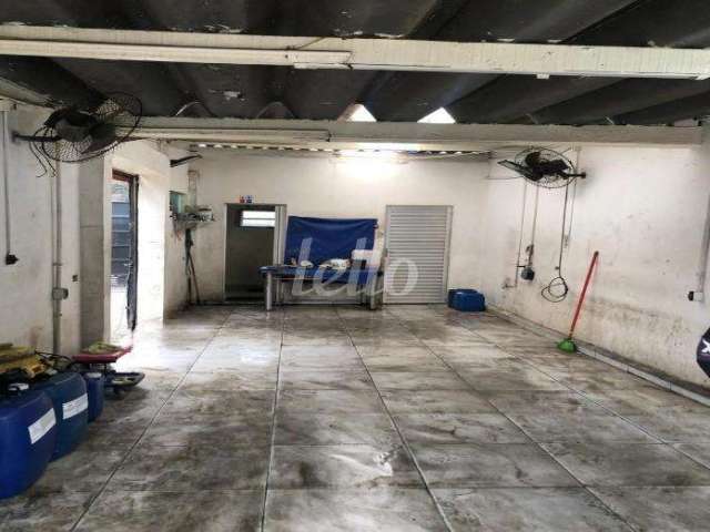 Terreno comercial para alugar na Rua Doutor Paulo Gatti, --, Casa Verde, São Paulo, 300 m2 por R$ 4.650