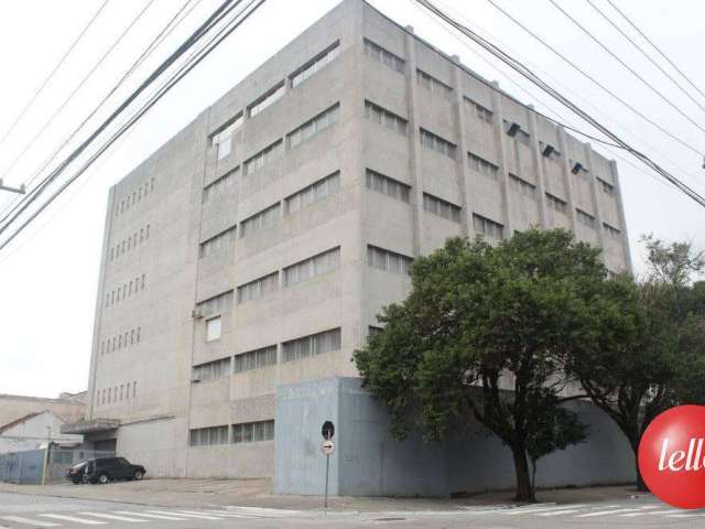 Prédio com 5 salas para alugar na Rua Doutor Virgílio do Nascimento, --, Brás, São Paulo, 8730 m2 por R$ 186.260