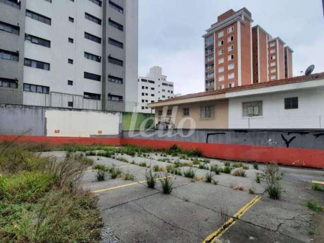 Terreno comercial para alugar na Avenida Nova Cantareira, --, Tucuruvi, São Paulo, 350 m2 por R$ 3.700