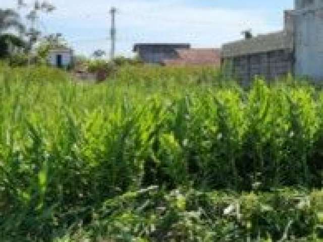 Terreno no bairro Bopiranga, em Itanhaém - sendo lado praia, em rua de terra.