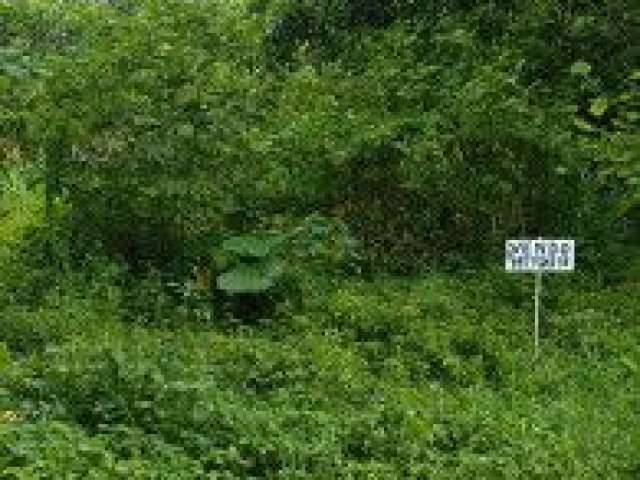 Terreno no bairro Recanto dos Imigrantes, em Itanhaém.