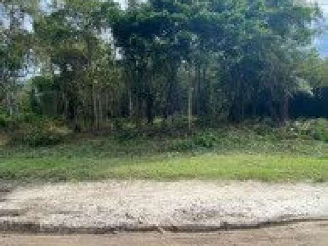 Terreno no bairro Bopiranga, em Itanhaém - localizado no lado serra, em rua de terra.