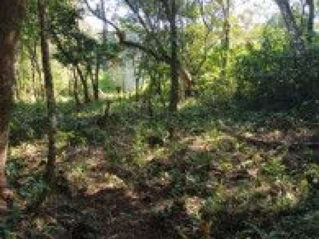 Terreno no bairro Jardim Marambá 2, em Itanhaém - sendo lado serra, em rua de terra.