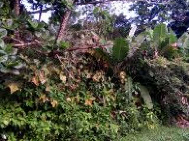 Terreno no Jardim Marambá 2, em Itanhaém - sendo lado serra, em rua de terra.