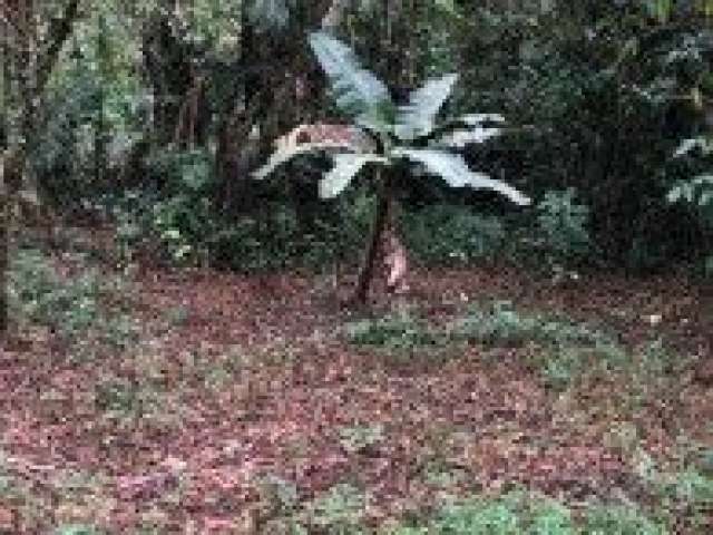 Terreno no bairro Jardim Coronel, em Itanhaém - sendo lado serra.