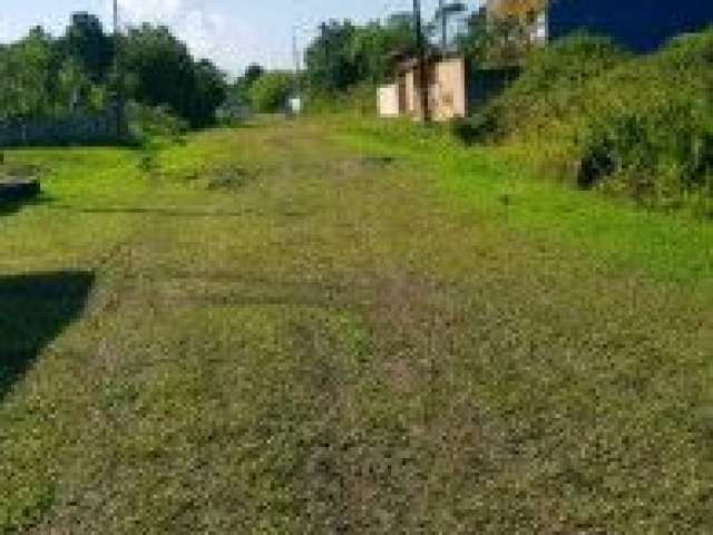 Terreno no bairro Jardim Marambá 2, em Itanhaém, localizado no lado serra à 240 metros da rodovia e à 2,71 km do mar.