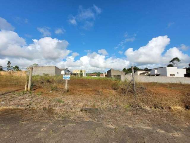 Terreno para Venda em Criciúma, Linha Batista