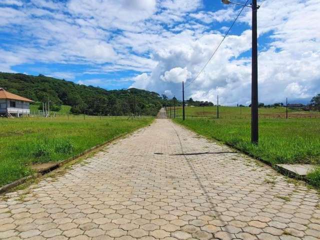 Terreno para Venda em Criciúma, Brasilia