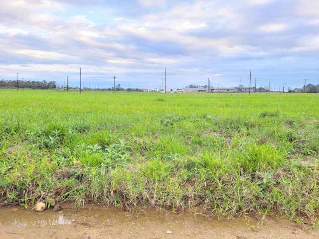 Terreno para Venda em Forquilhinha, Luiz Tiscoski