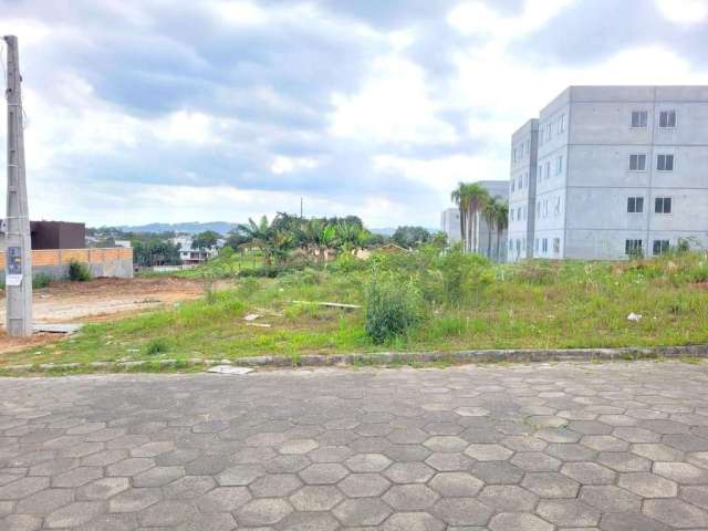 Terreno para Venda em Criciúma, Floresta