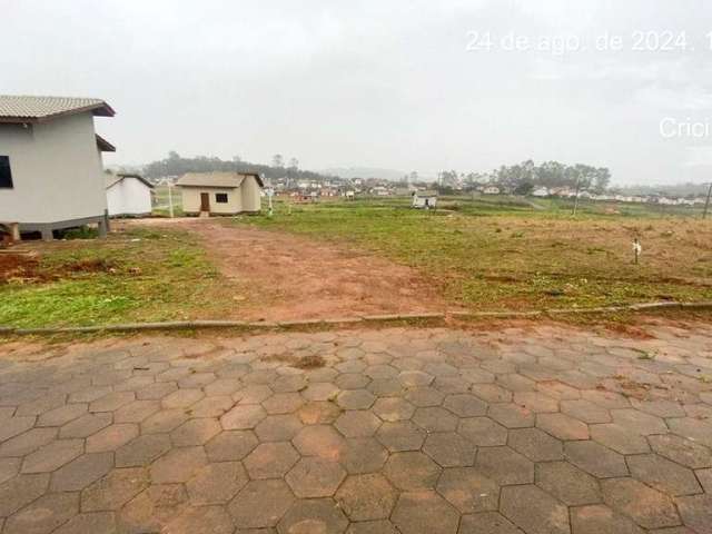 Terreno para Venda em Criciúma, São Defende