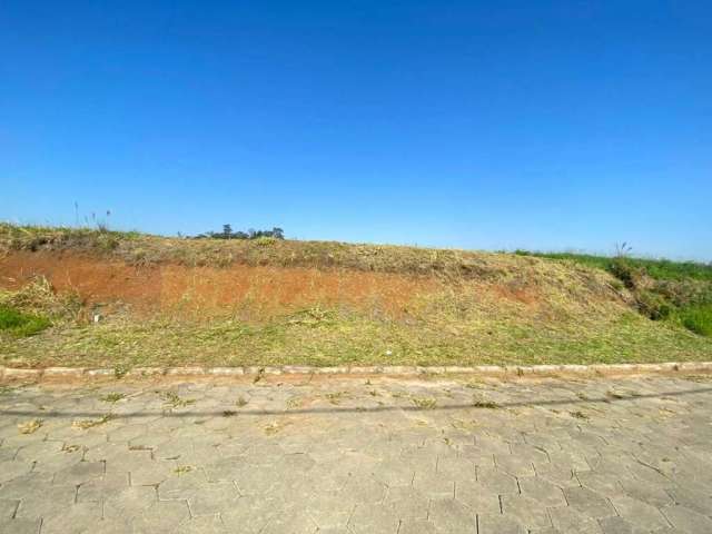 Terreno para Venda em Criciúma, São Defende