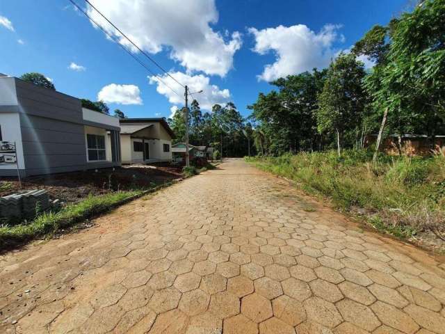 Terreno para Venda em Criciúma, São Defende