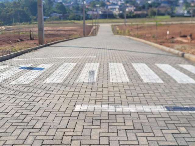 Terreno para Venda em Criciúma, Rio Maina