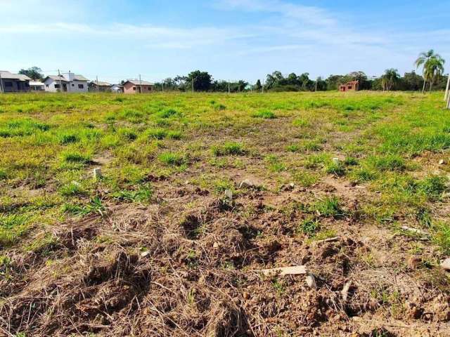 Terreno para Venda em Forquilhinha, Santa Cruz