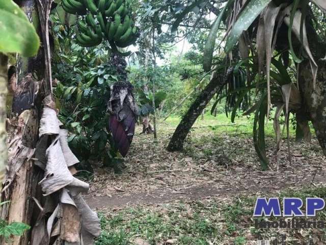 Terreno em Ubatuba, 8.000m ², bairro do Sertão da Quina, com acesso ao Rio