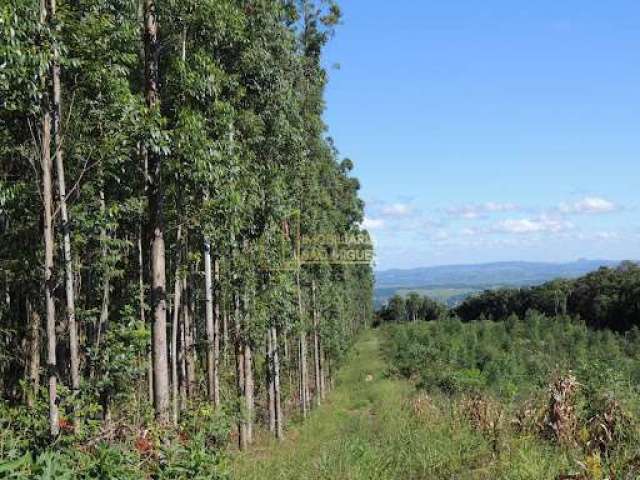 Chácara, à venda em Sapiranga, Picada São Jacó