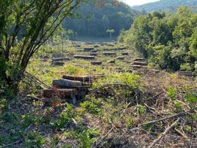 Terreno, à venda em Dois Irmãos, Industrial