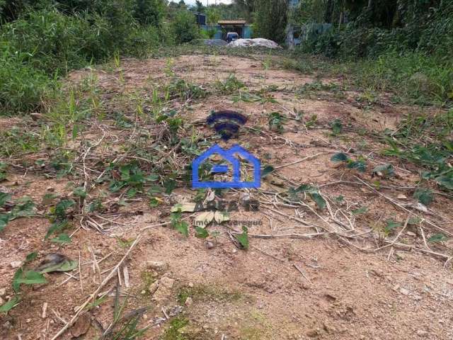 Oportunidade Única: Terreno Plano de 490 m² à Venda no bairro Jardim das Gaivotas em Caraguatatuba,