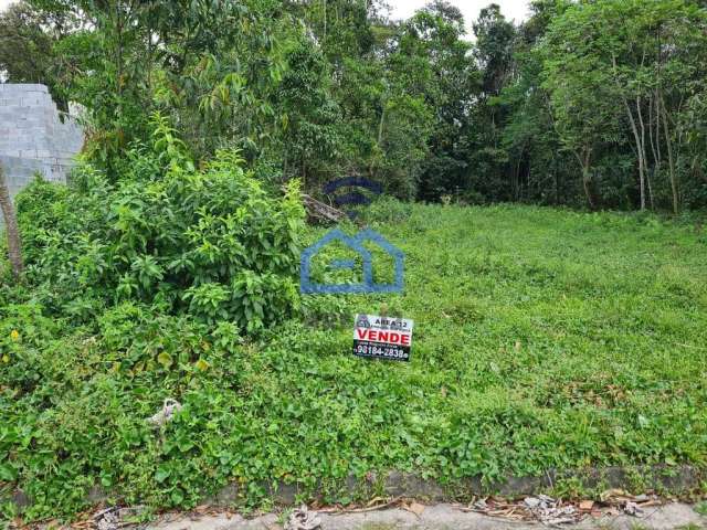 Terreno de 225m² à venda no bairro Jardim das Gaivotas em Caraguatatuba, SP - A oportunidade de con