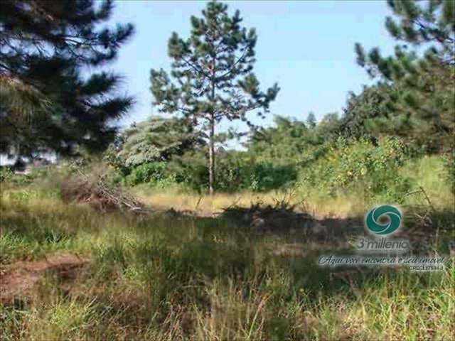 Terreno em condomínio fechado à venda na Rua das Camélias, Chácara Vale do Rio Cotia, Carapicuíba por R$ 850.000