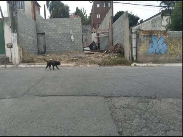 Barracão / Galpão / Depósito para alugar na Rua Aquiles Estaço, --, Pedreira, São Paulo por R$ 14.000