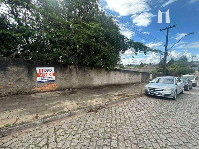 Terreno à venda, 1170 m² por R$ 1.380.000 - Santa Nely - Campo Largo/PR