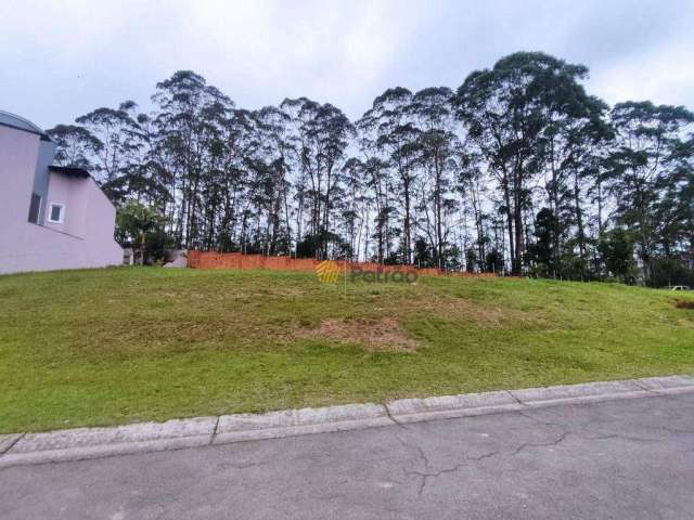 Terreno à venda, 720 m² por R$ 5.750.000,00 - Swiss Park - São Bernardo do Campo/SP