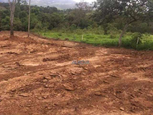 Terreno à venda, 14000 m² por R$ 2.970.000,00 - Putim - São José dos Campos/SP