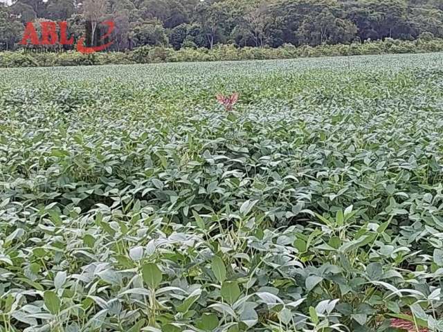 Fazenda à venda no bairro Centro - Rio Sono/TO